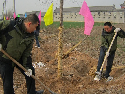 植树6.jpg 植树6.jpg
